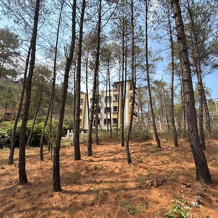 Xtsy Travellers Hostel Shillong Eksteriør bilde