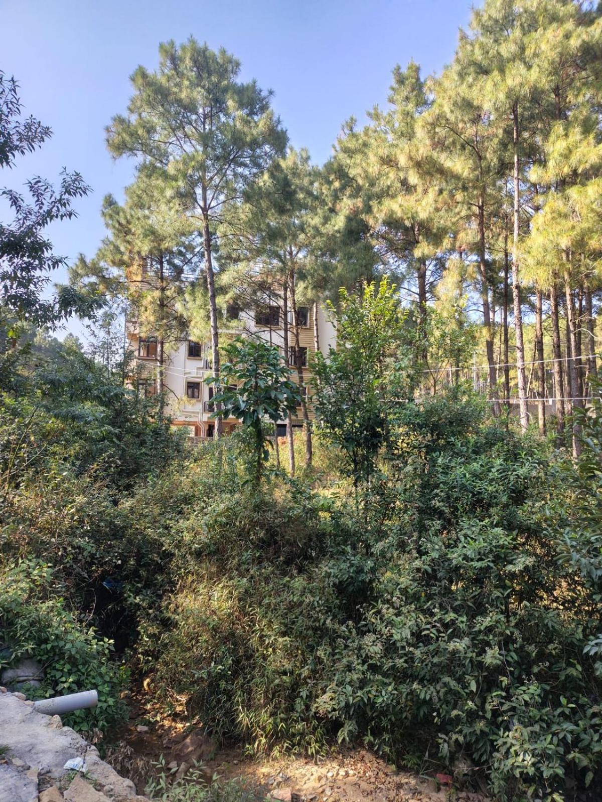 Xtsy Travellers Hostel Shillong Eksteriør bilde