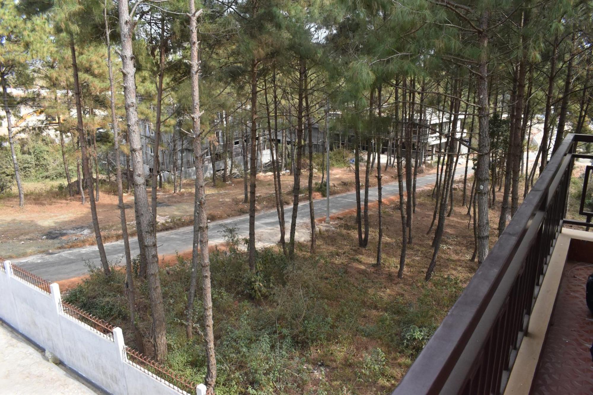 Xtsy Travellers Hostel Shillong Eksteriør bilde