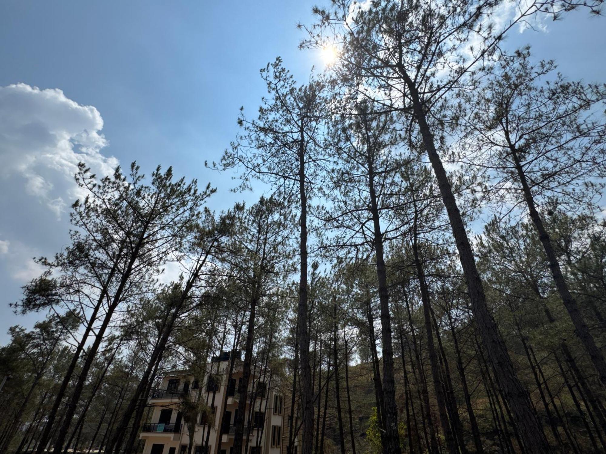 Xtsy Travellers Hostel Shillong Eksteriør bilde
