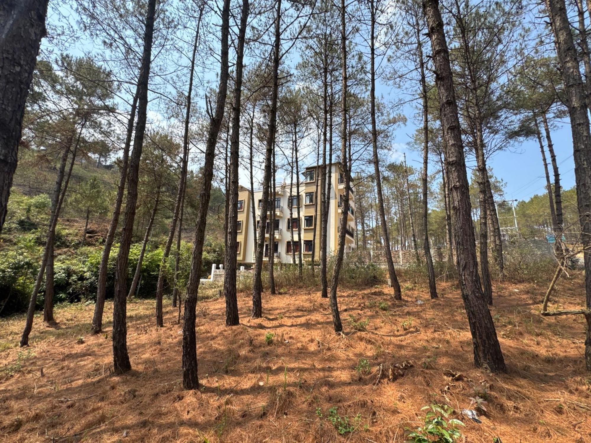 Xtsy Travellers Hostel Shillong Eksteriør bilde